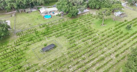 Tiny photo for 5117 Cr 316a, Bushnell, FL 33513 (MLS # TB8517259)