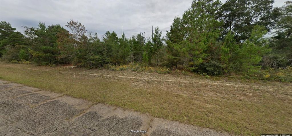 Photo of 16 Waterfall Street, Chipley, FL 32428 (MLS # OM715232)