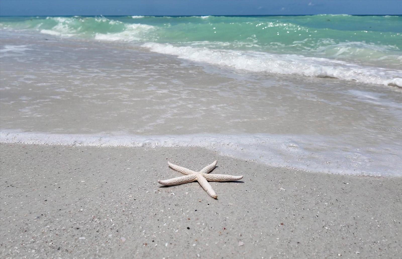 MANDALAY SUB - Residential