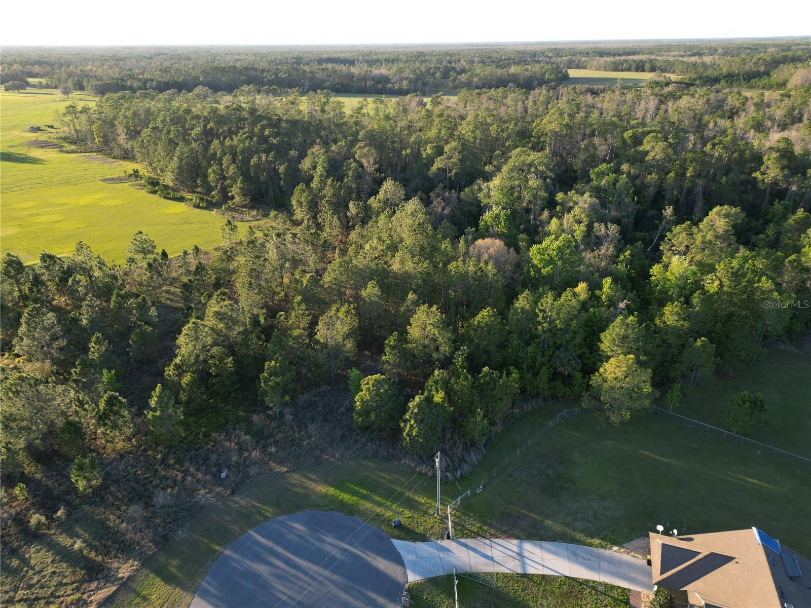 Listing image 8