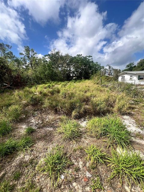 CARSON AVENUE BABSON PARK FL 33827