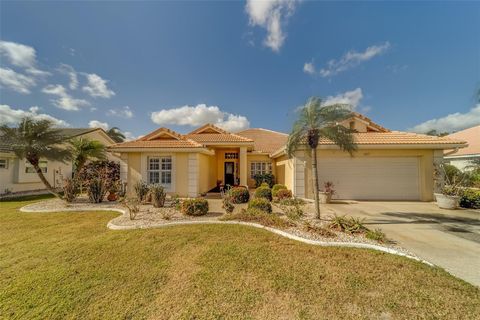 A home in SUN CITY CENTER