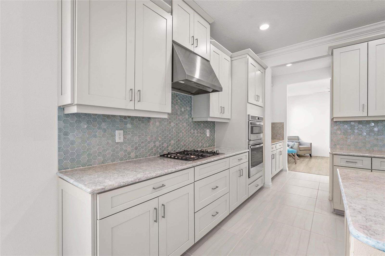 SKYE RANCH NBRHD 4 NORTH PH 1 - Residential