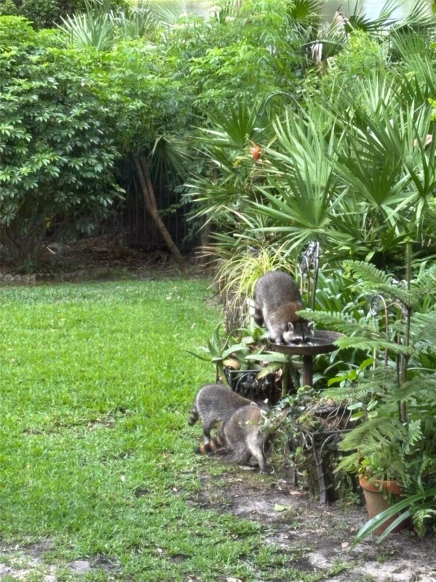 LAKE MARKHAM PRESERVE - Residential