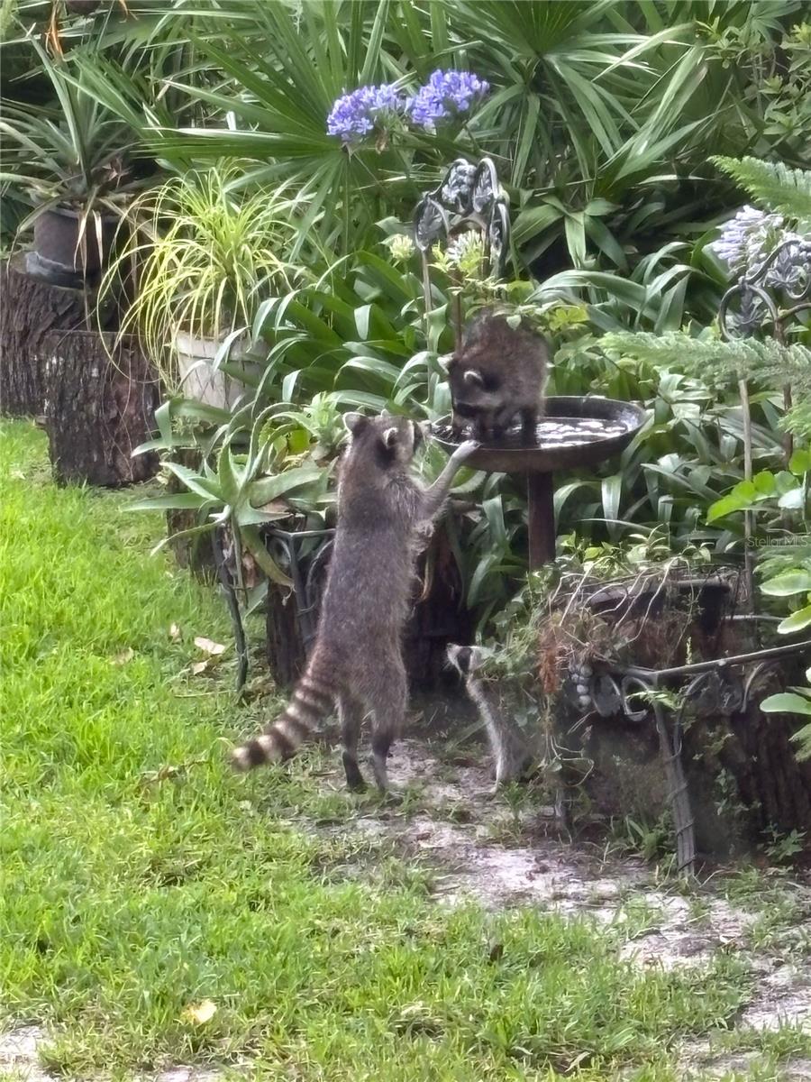 LAKE MARKHAM PRESERVE - Residential