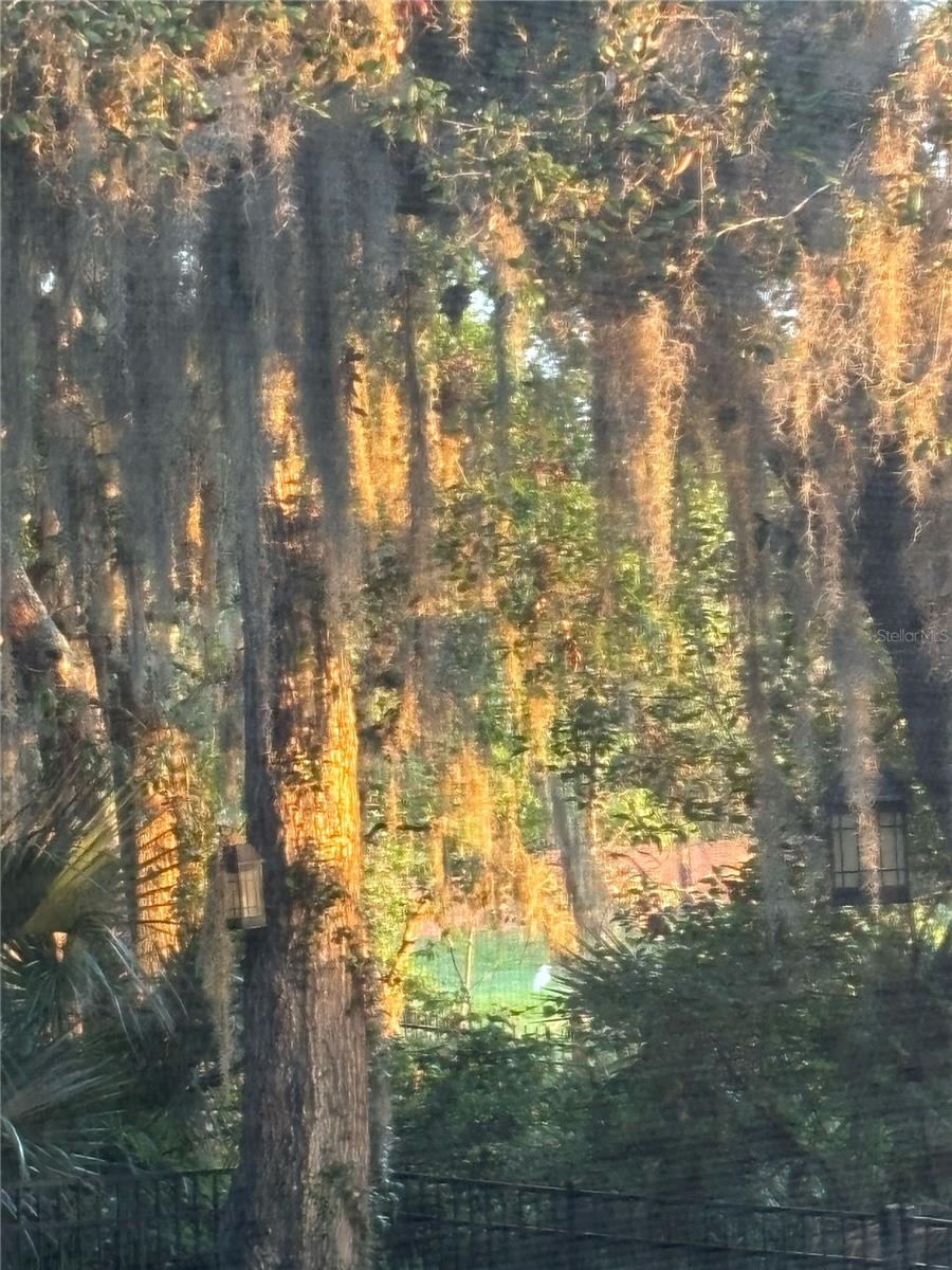 LAKE MARKHAM PRESERVE - Residential