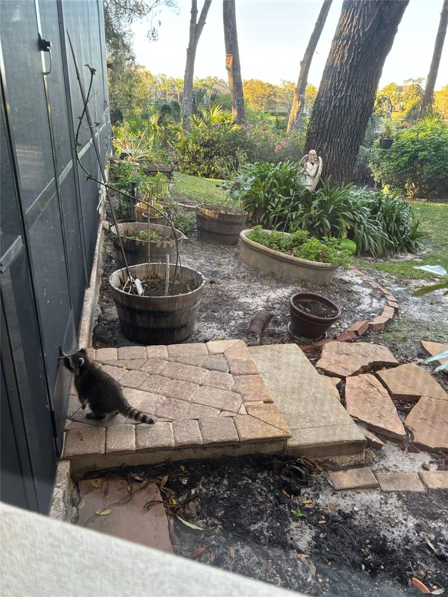 LAKE MARKHAM PRESERVE - Residential