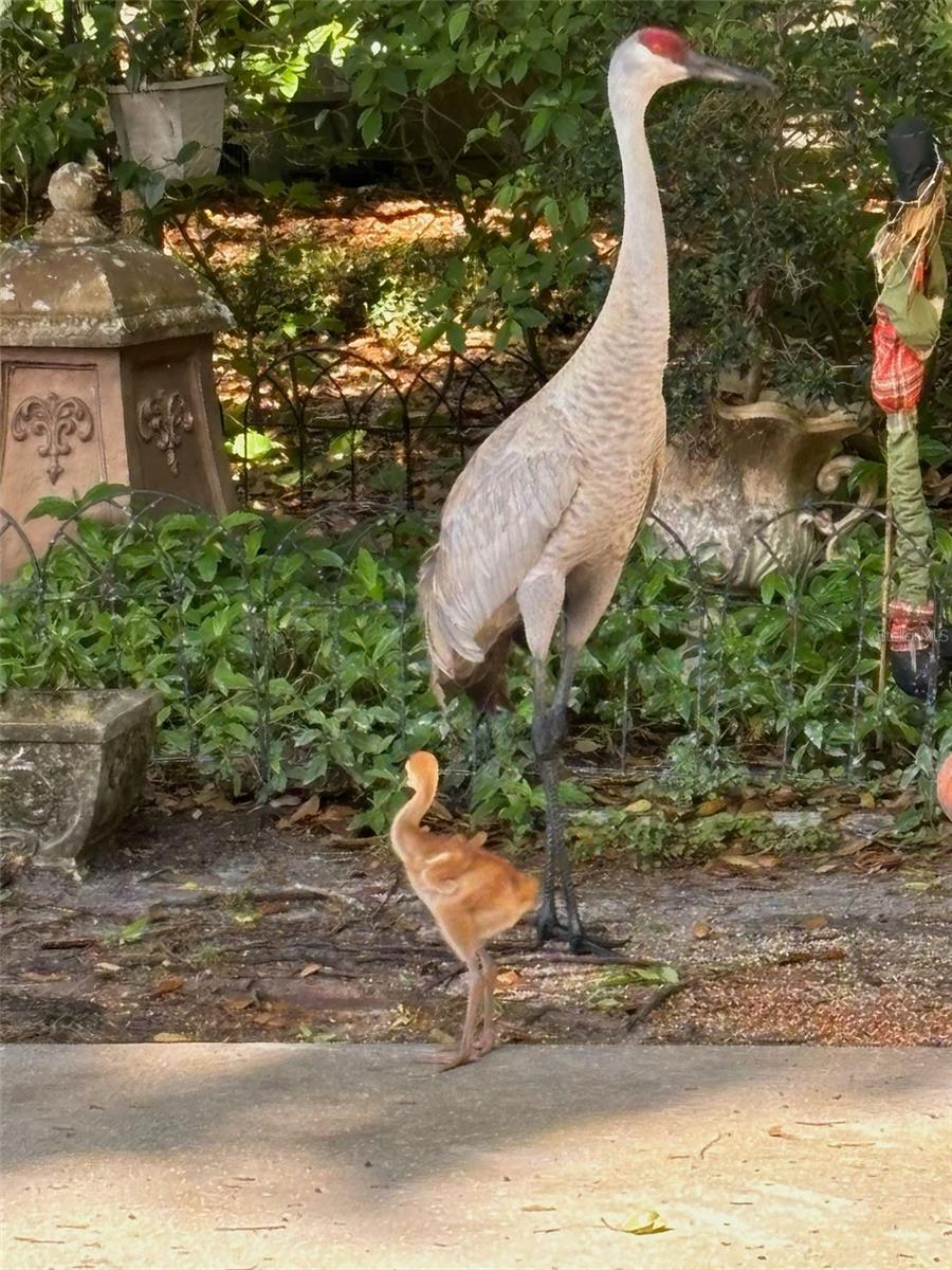 LAKE MARKHAM PRESERVE - Residential