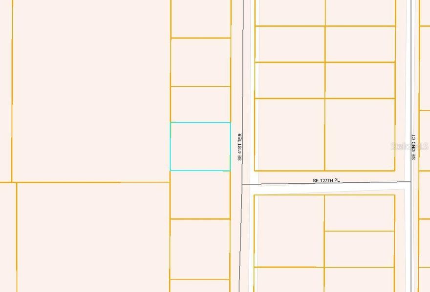 Wooded lot in Belleview Heights Estates, NO HOA and you choose the builder.  Close to Amenities, shopping centers, restaurants, medical facilities, parks, and recreational activities. I-75 close by.