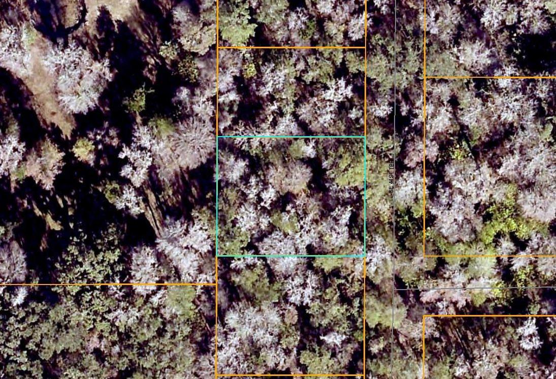 BELLEVIEW HEIGHTS ESTATE - Land