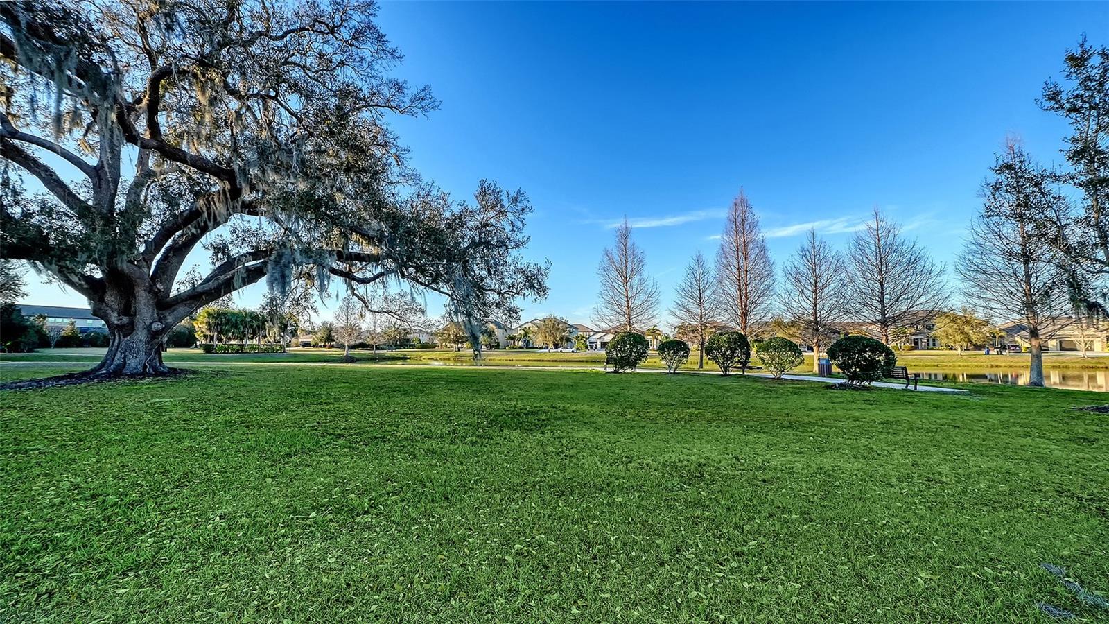 SERENITY CREEK REP OF TR N - Residential