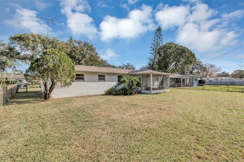 A home in DAYTONA BEACH