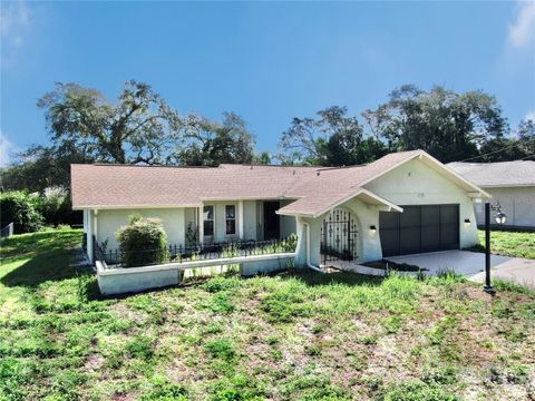 A home in SPRING HILL