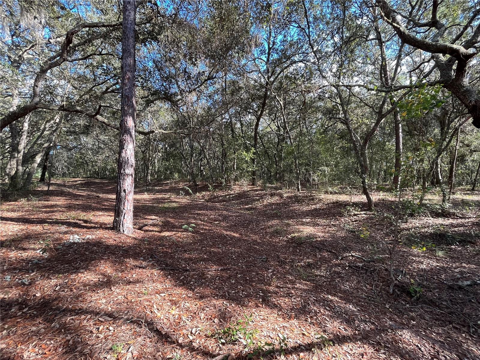 COOPER LAKE HILLS - Land