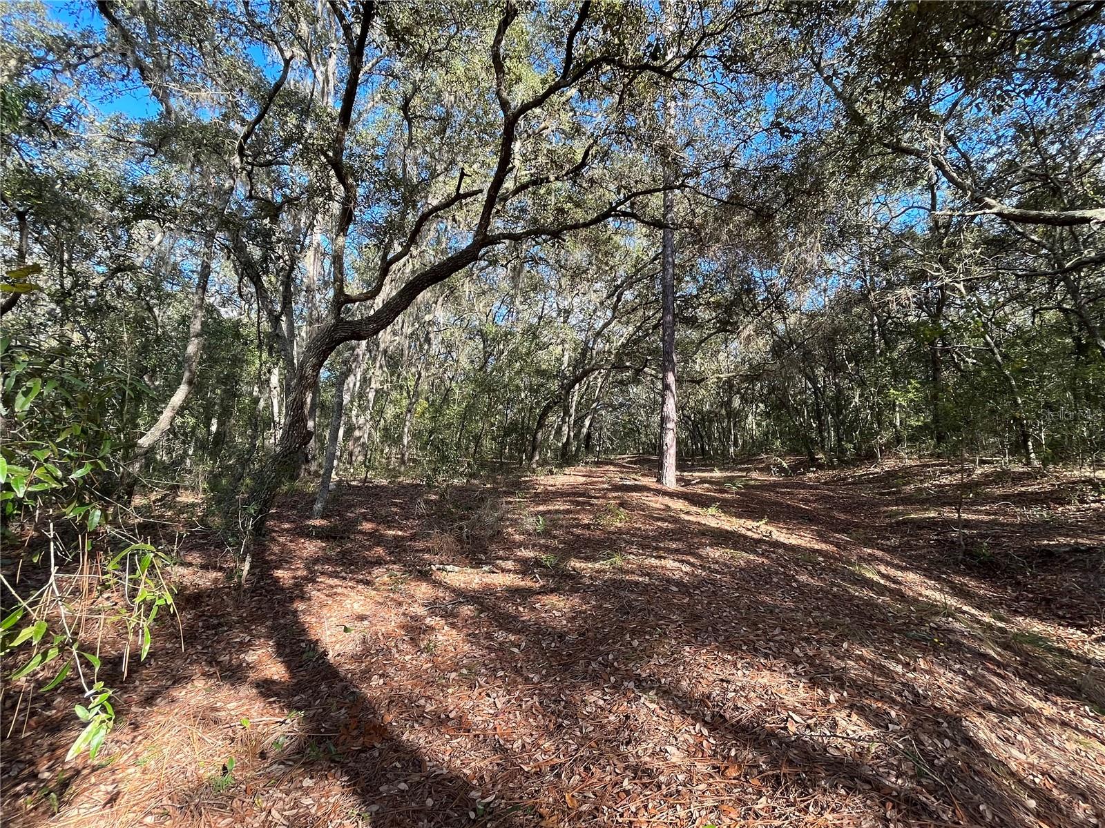 COOPER LAKE HILLS - Land