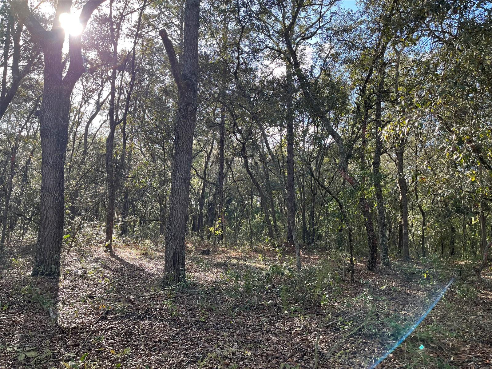 COOPER LAKE HILLS - Land