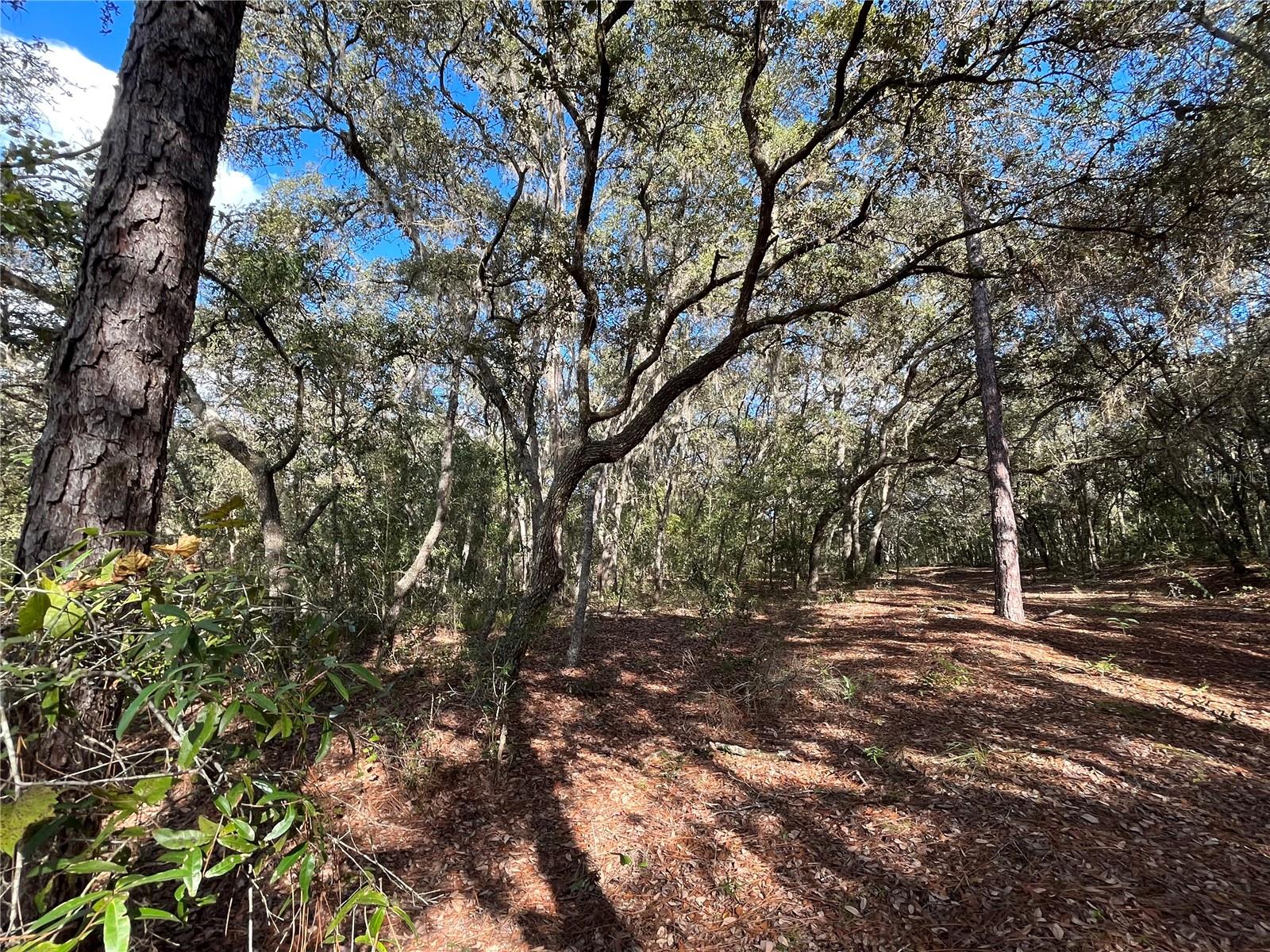 COOPER LAKE HILLS - Land