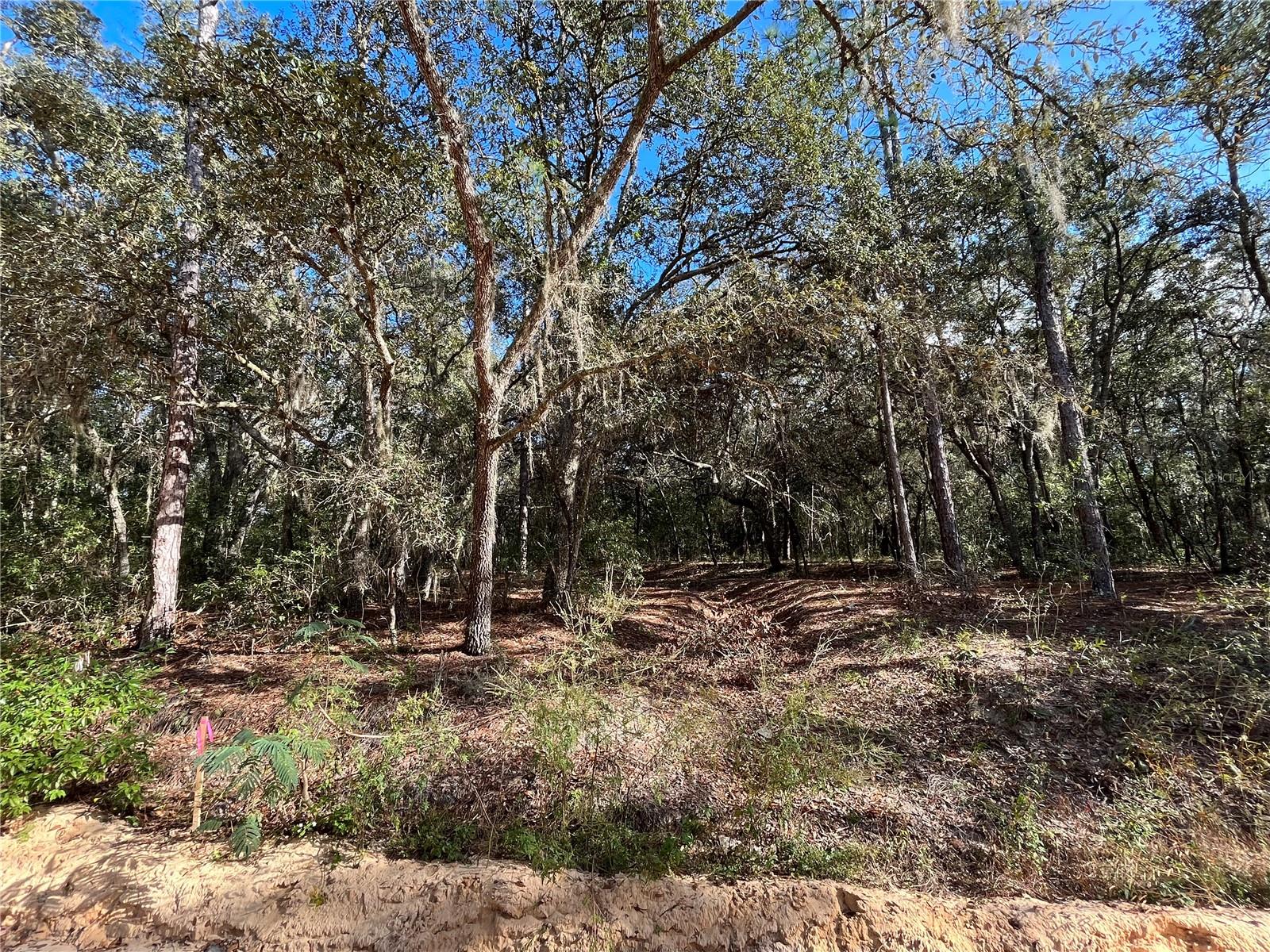 COOPER LAKE HILLS - Land