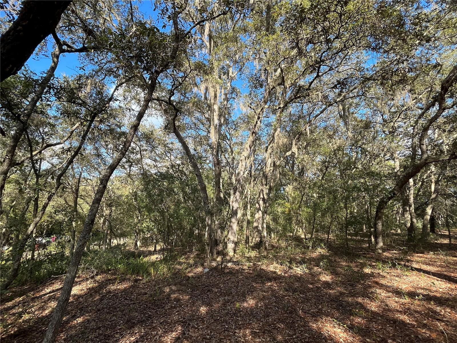 COOPER LAKE HILLS - Land