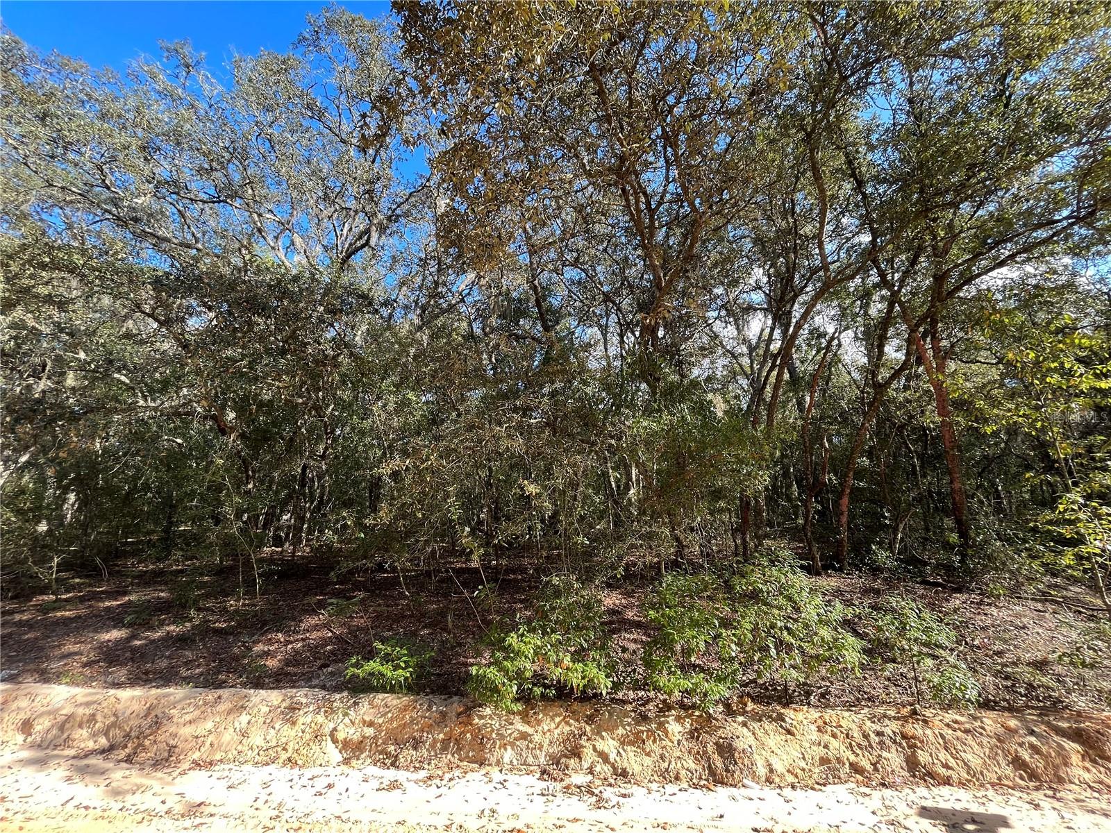 COOPER LAKE HILLS - Land