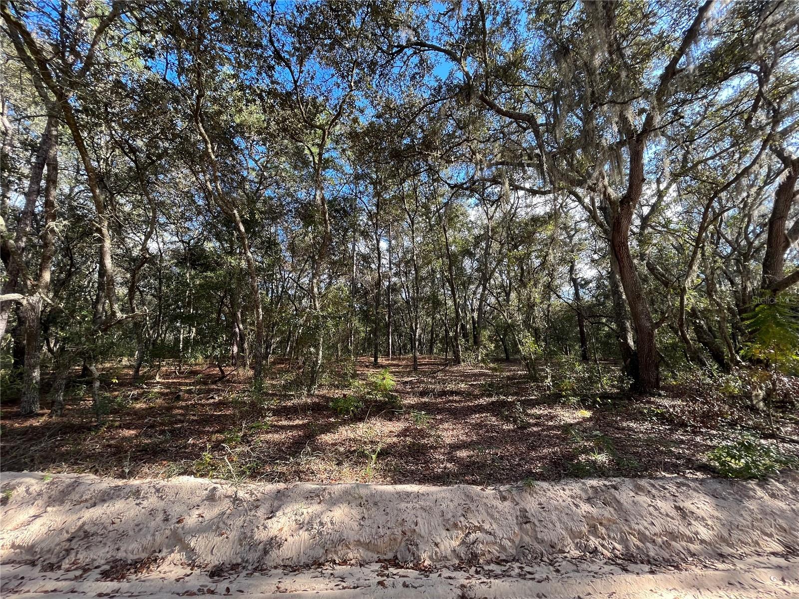 COOPER LAKE HILLS - Land