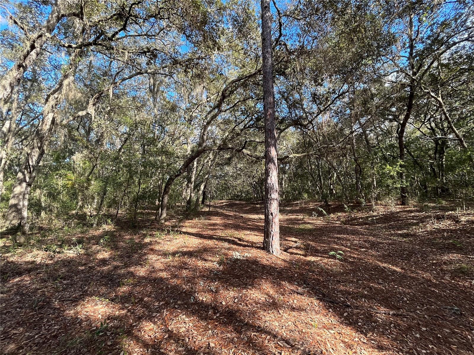 COOPER LAKE HILLS - Land