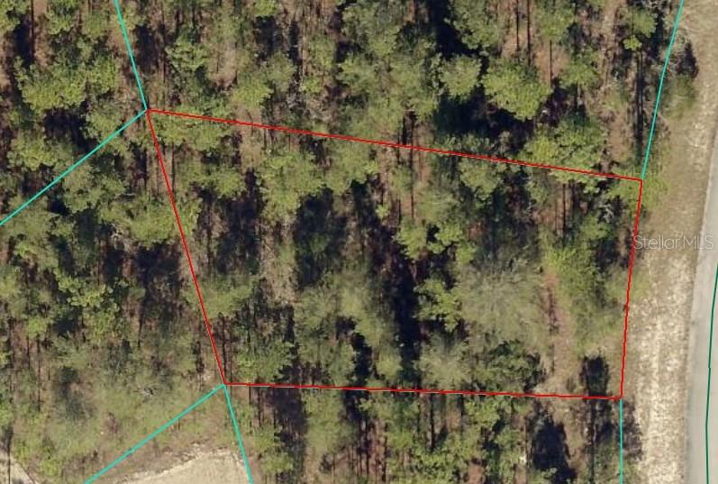 .29 Acre Lot in Marion Oaks – Your Perfect Canvas for a Dream Home!
This .29-acre lot in the desirable Marion Oaks neighborhood has the ideal location to build your dream home. High and dry, this spacious parcel is ready for construction, providing a solid foundation for your vision.
Located just minutes from Ocala’s vibrant shopping, dining, and entertainment scene, this lot also offers easy access to I-75, making commuting to both Orlando and Gainesville a breeze. For those seeking adventure and outdoor activities, the renowned World Equestrian Center is located about 30 minutes away as well is the stunning Rainbow Springs is only 10 miles away, offering opportunities for kayaking, hiking, and exploring nature.
With its ideal location and peaceful setting, this lot is ready to be transformed into your very own slice of paradise. Don’t miss out on this opportunity to own a piece of paradise!