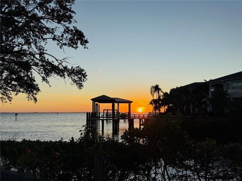 A home in TAMPA