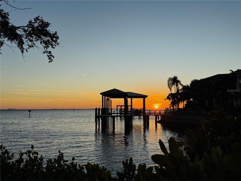 A home in TAMPA