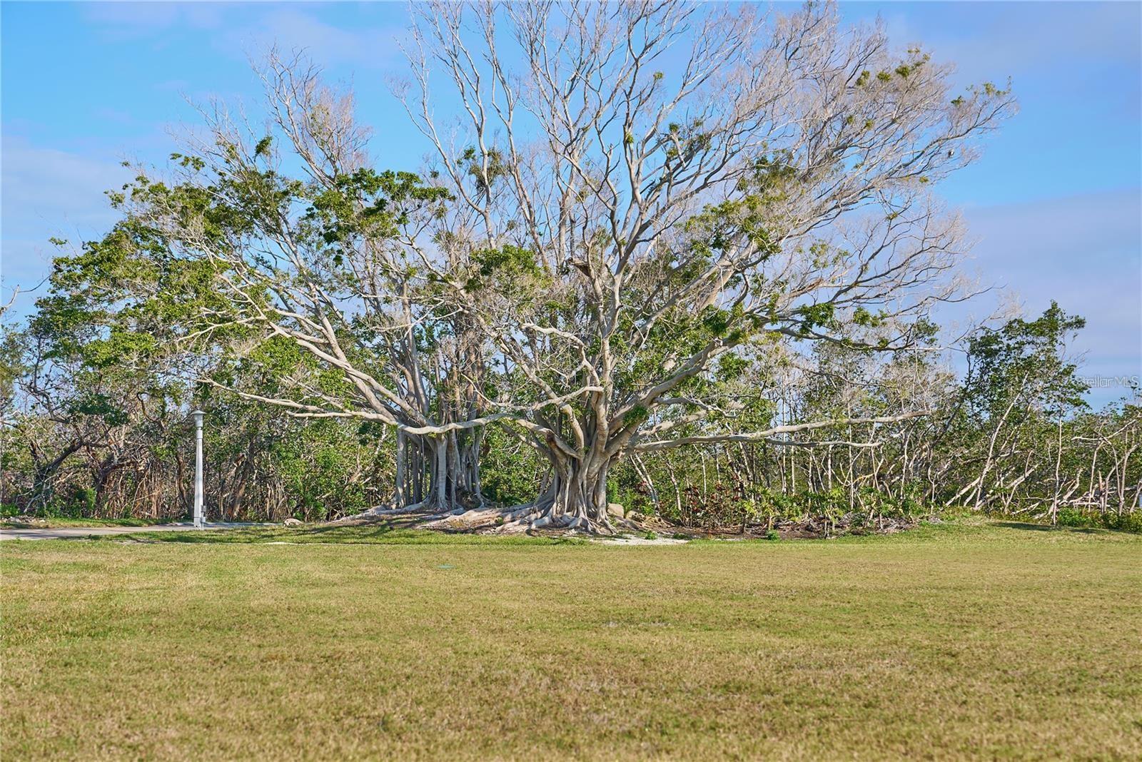 TIDY ISLAND PH II - Residential