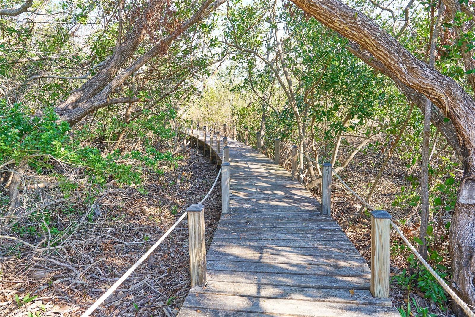 TIDY ISLAND PH II - Residential