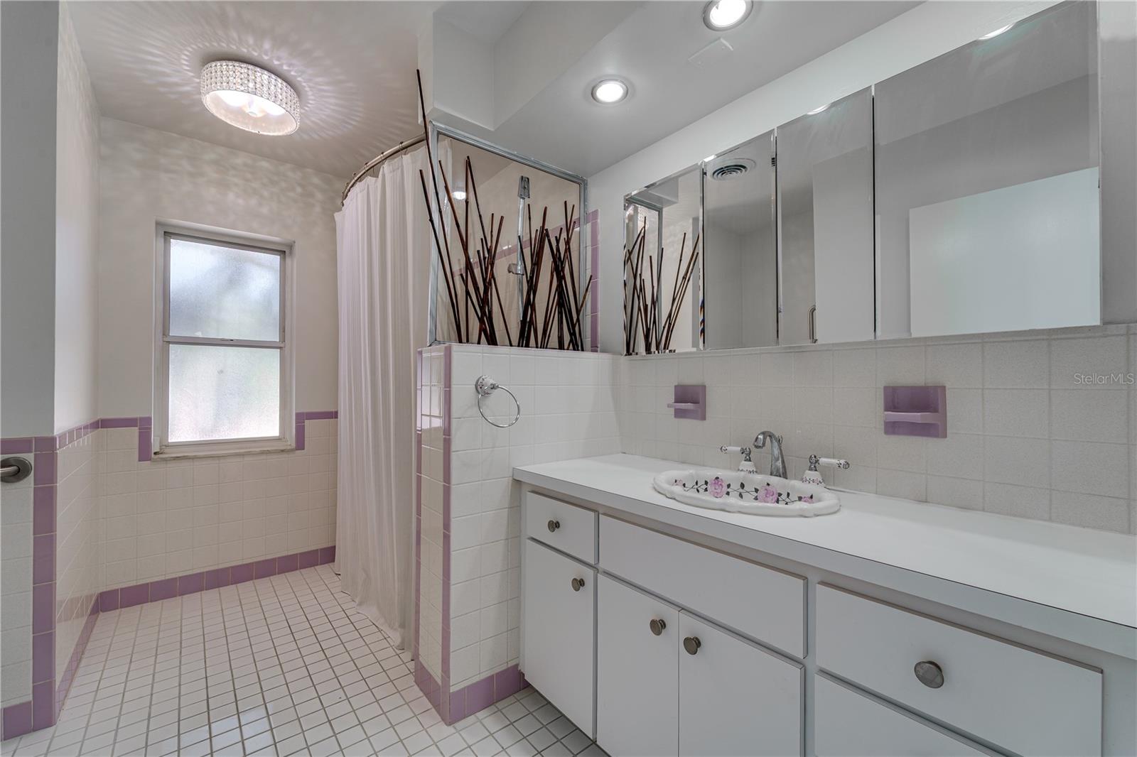 PINELLAS POINT SKYVIEW SHORES 3RD ADD - Residential