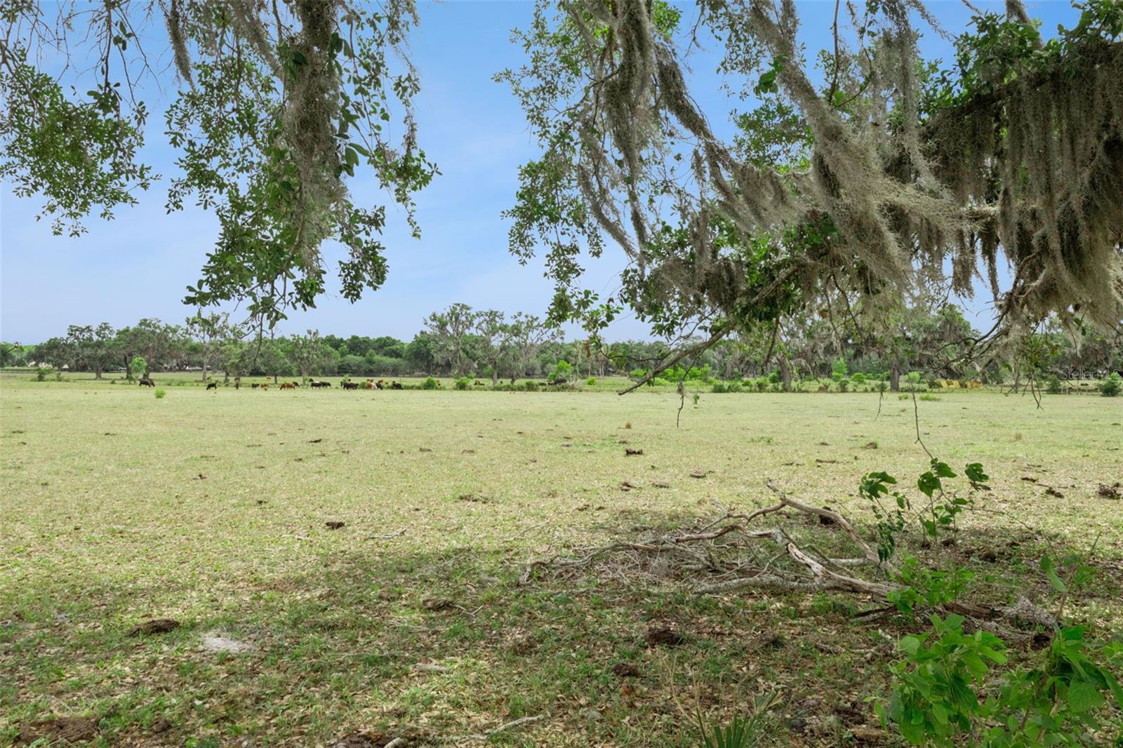LEESBURG ROYAL OAK ESTATES - Residential