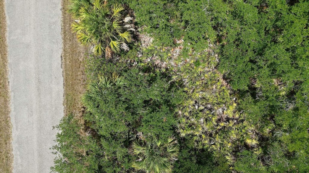 Photo of 14208 Cameron Avenue, Port Charlotte, FL 33953 (MLS # TB8560030)