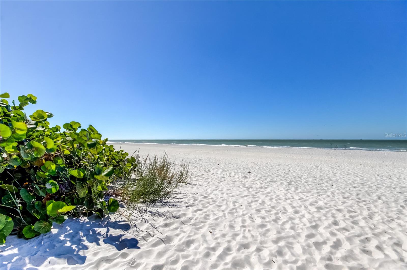 SUNPLACE CONDO - Residential