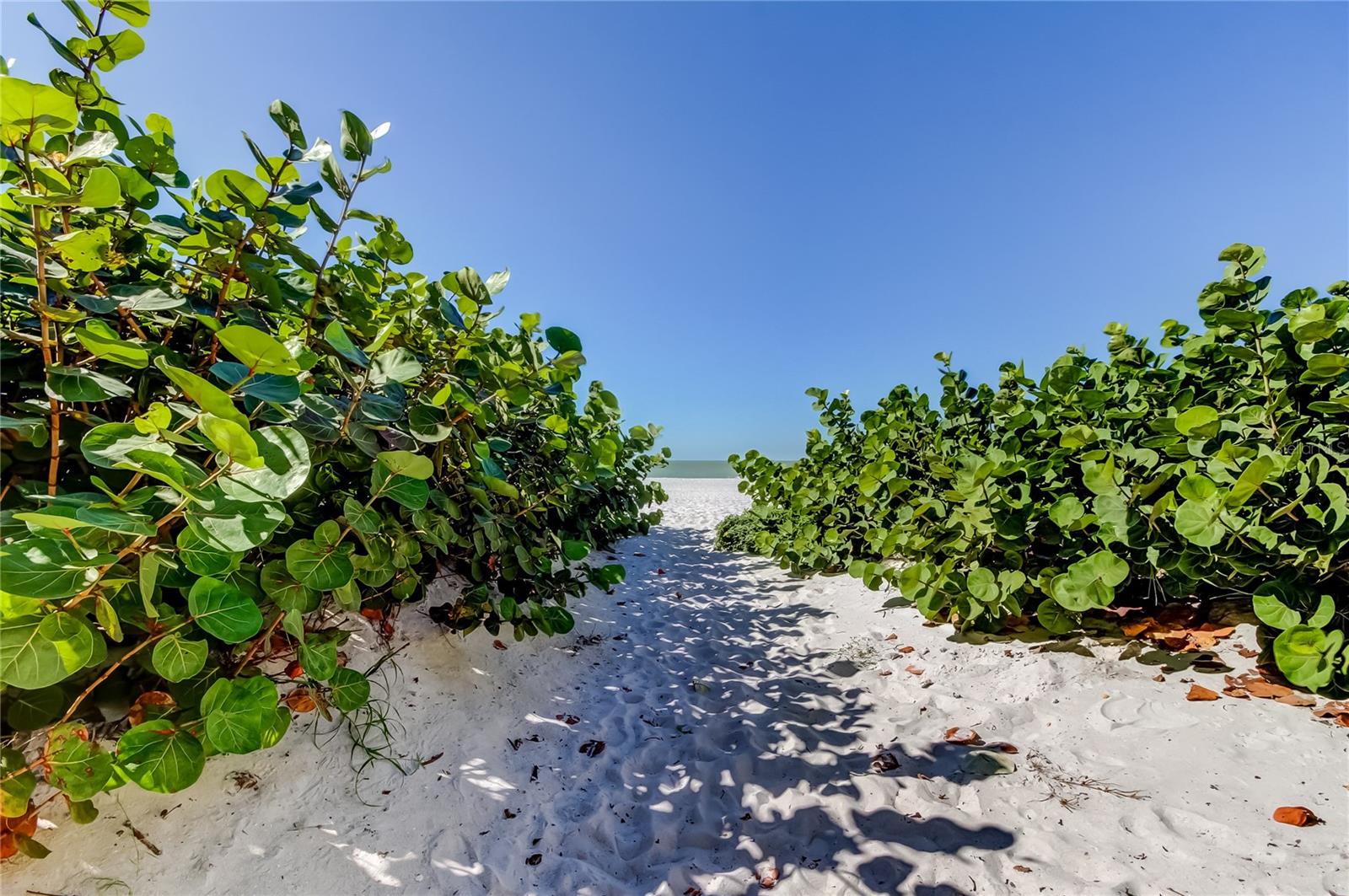 SUNPLACE CONDO - Residential