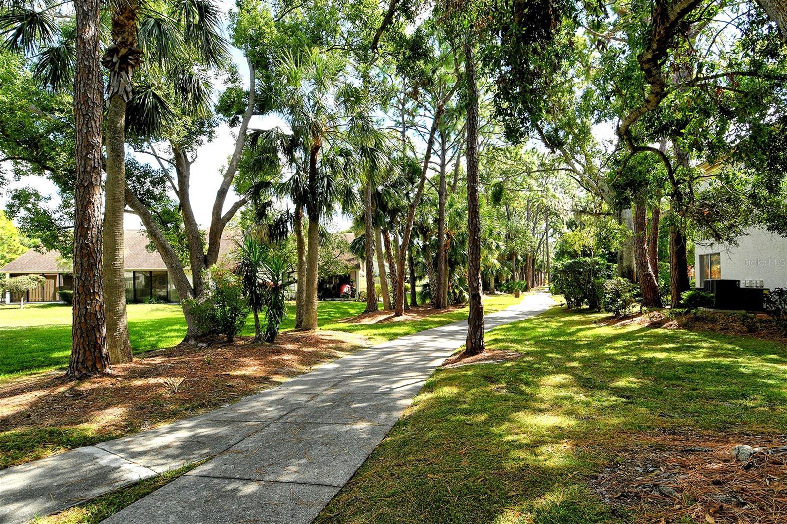 WEDGEWOOD LAKE - Residential