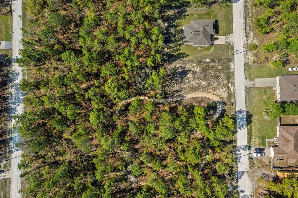 Photo of 12348 Snowy Egret Avenue, Weeki Wachee, FL 34614 (MLS # W7884281)