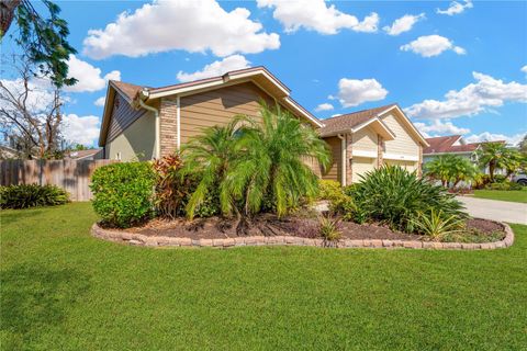 A home in TAMPA