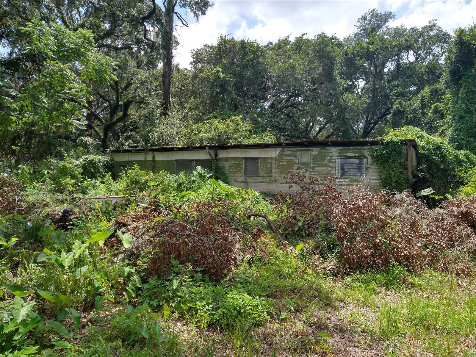 10616 SHADY DRIVE