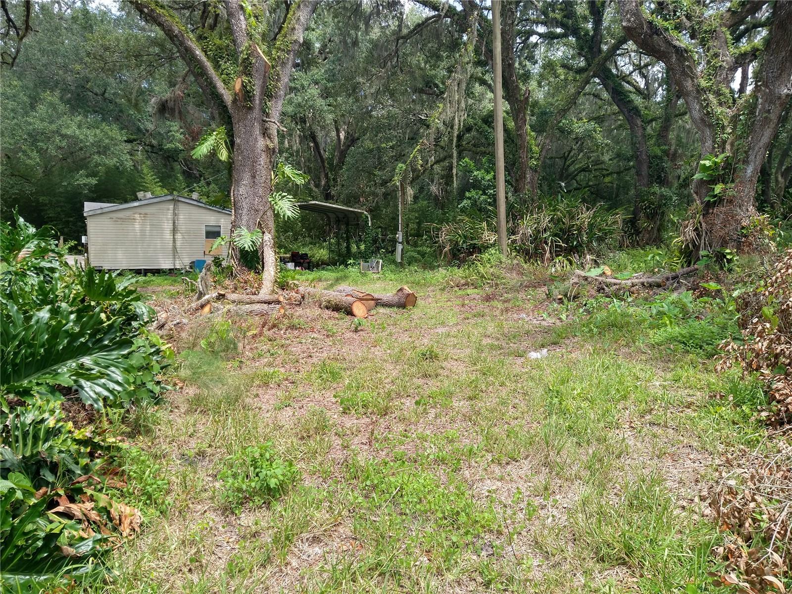 10616 SHADY DRIVE
