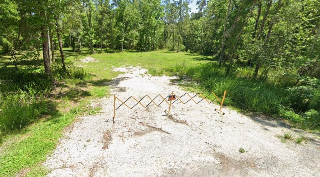 Photo of 0 Ray Browning Road, Brooksville, FL 34601 (MLS # W7890562)