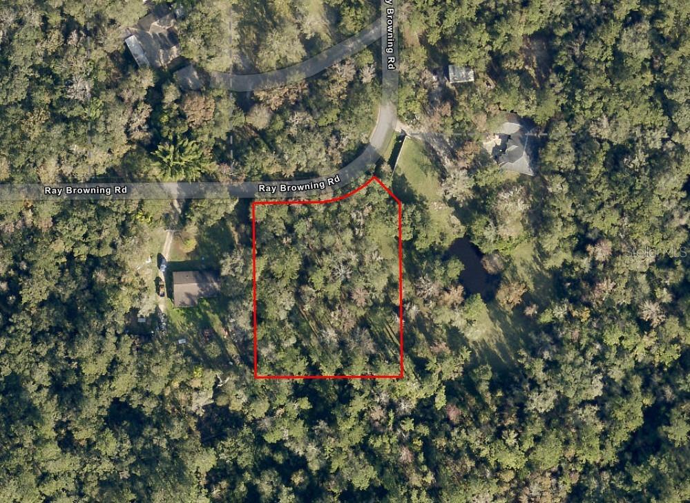 Photo of 0 Ray Browning Road, Brooksville, FL 34601 (MLS # W7890562)