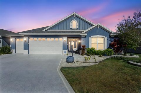 1017 WILDER PATH THE VILLAGES FL 32163