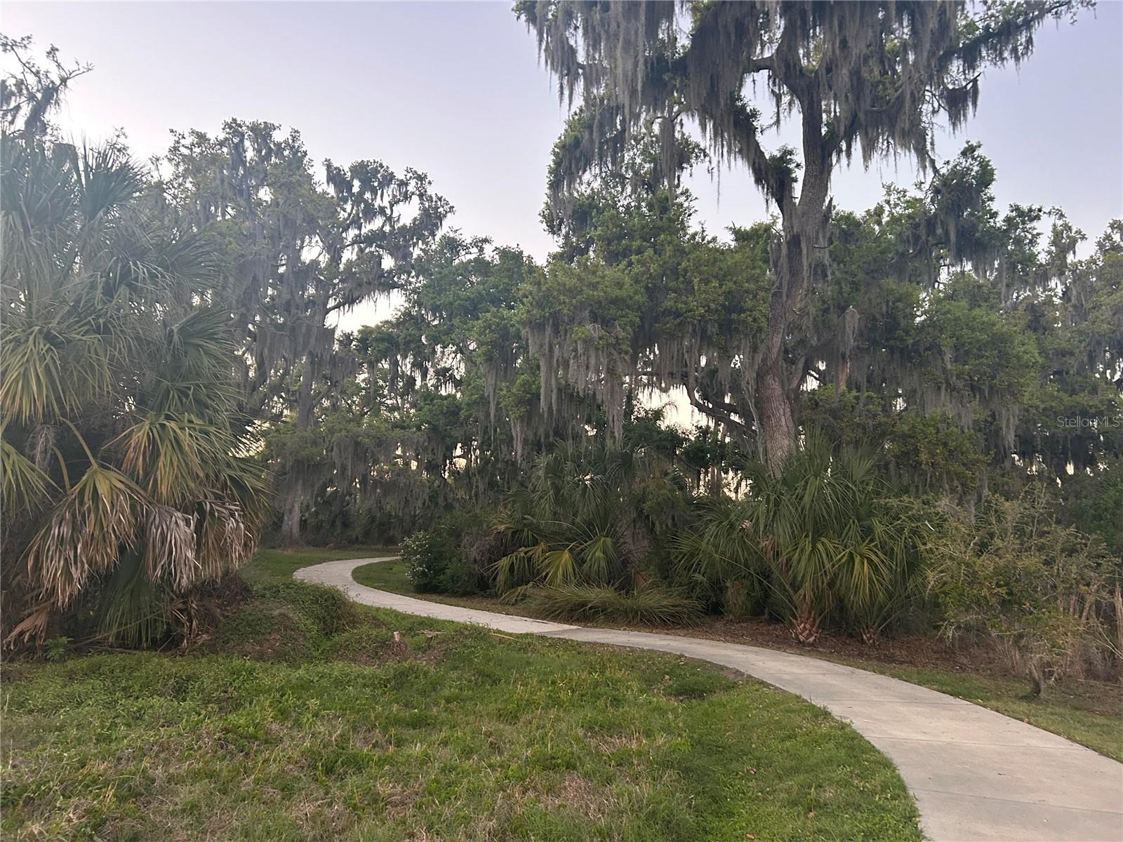 FOREST CREEK PH I & I-A - Residential