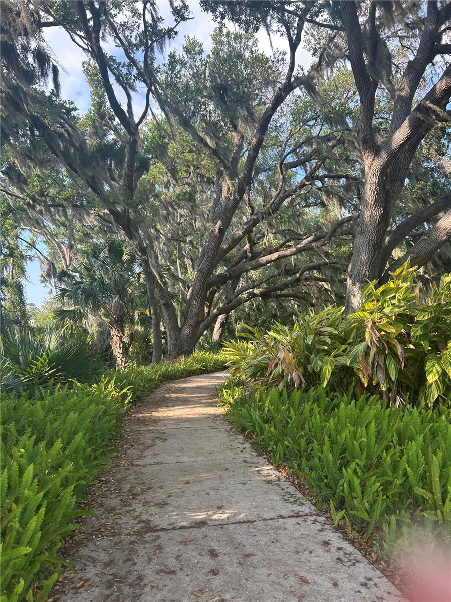 FOREST CREEK PH I & I-A - Residential