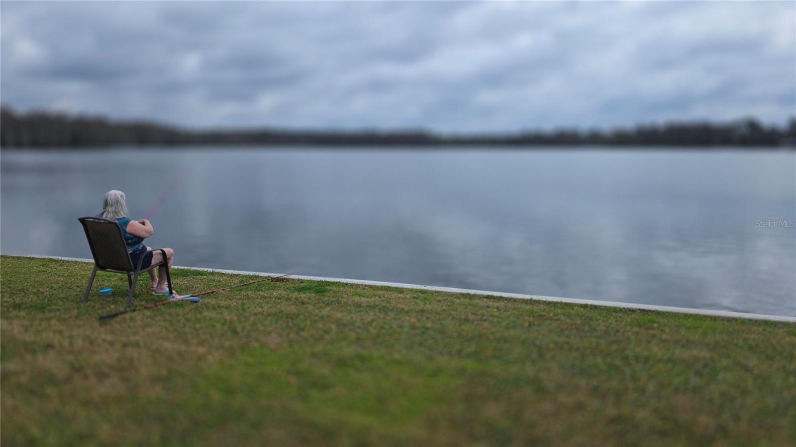 EUSTIS COUNTRY CLUB MANOR MHP UNIT 02A - Residential