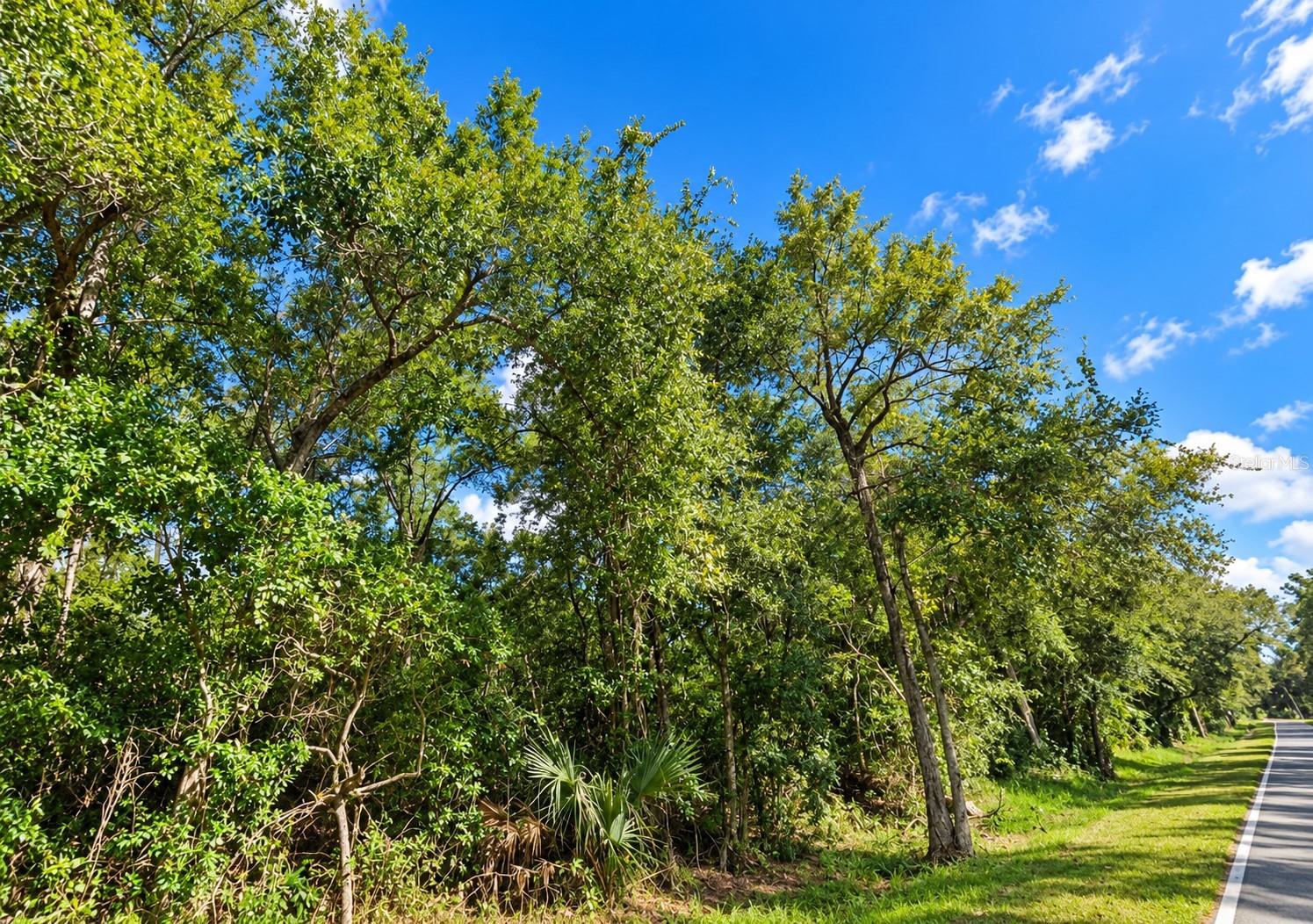 000 OLD KISSIMMEE ROAD