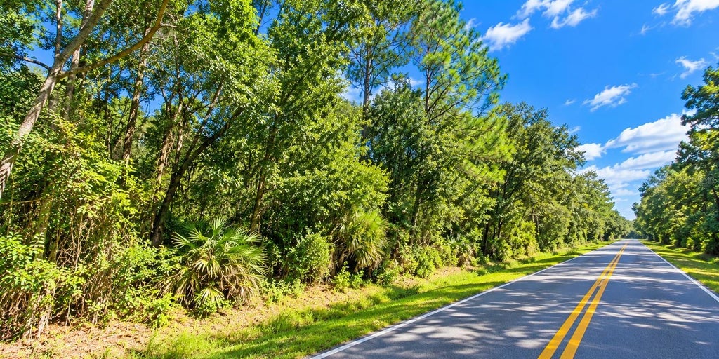 Photo of 000 Old Kissimmee Road, Davenport, FL 33896 (MLS # O6445810)