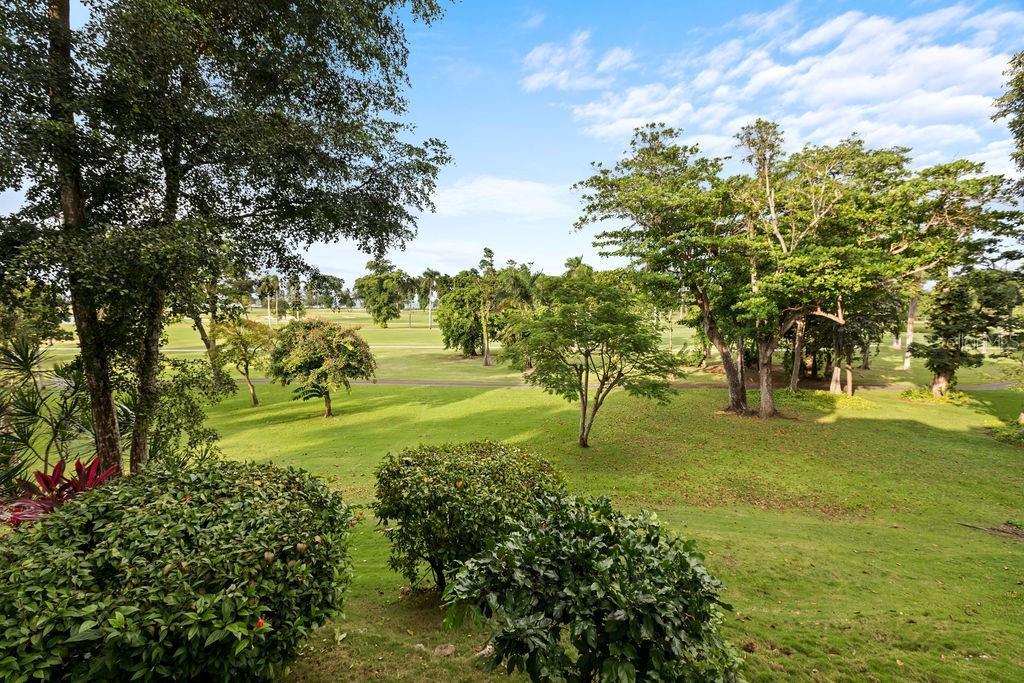 VILLA DORADO ESTATES - Residential